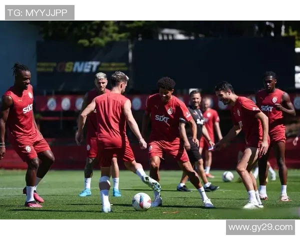 2018国际赛瑞典与土耳其激战回顾及精彩瞬间分析