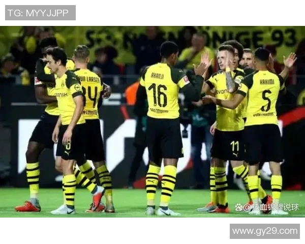 德甲历史冠军回顾与分析揭示德国足球的辉煌历程